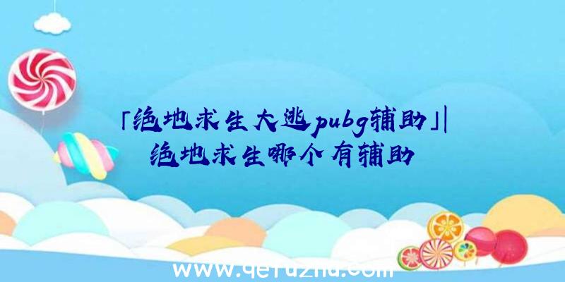 「绝地求生大逃pubg辅助」|绝地求生哪个有辅助